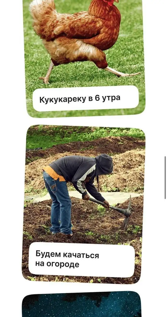 Организаторы креативно подошли к описанию того, что ждет зумеров в туре.