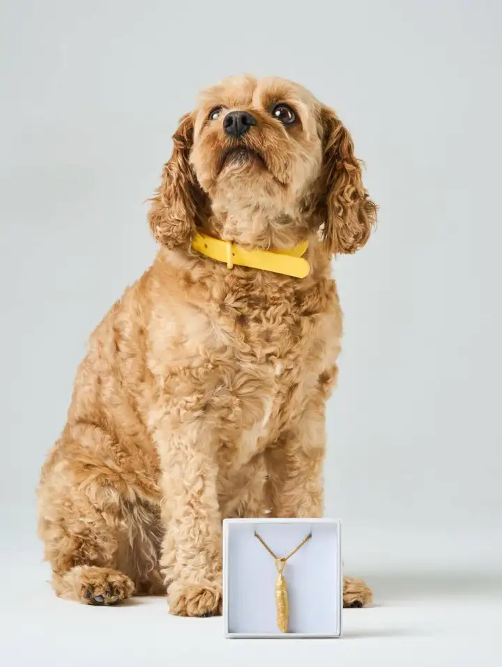 Фекалии собак стали покрывать золотом и продавать за 1,1 млн рублей.