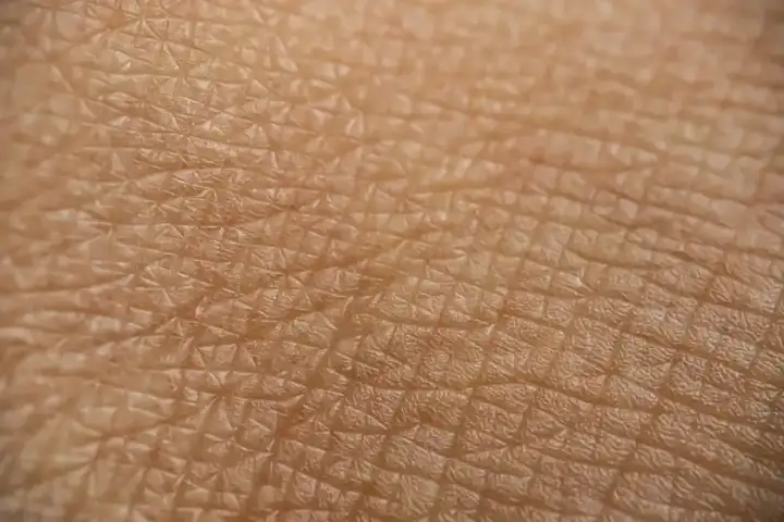 Нашу кожу можно сделать более проницаемой, немного её растянув.