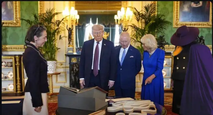 Мелания в образе 