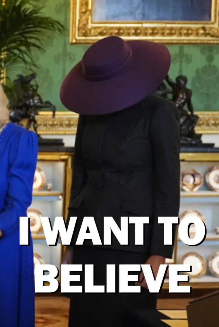 Мелания из параллельной вселенной.