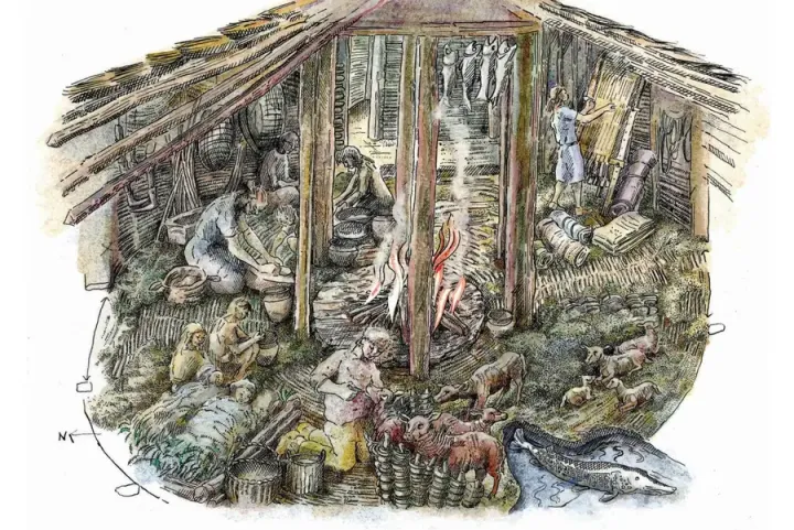 В круглых домах люди и жили, и готовили, и держали домашних животных.