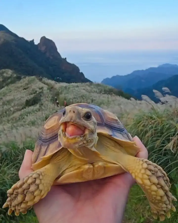1.
