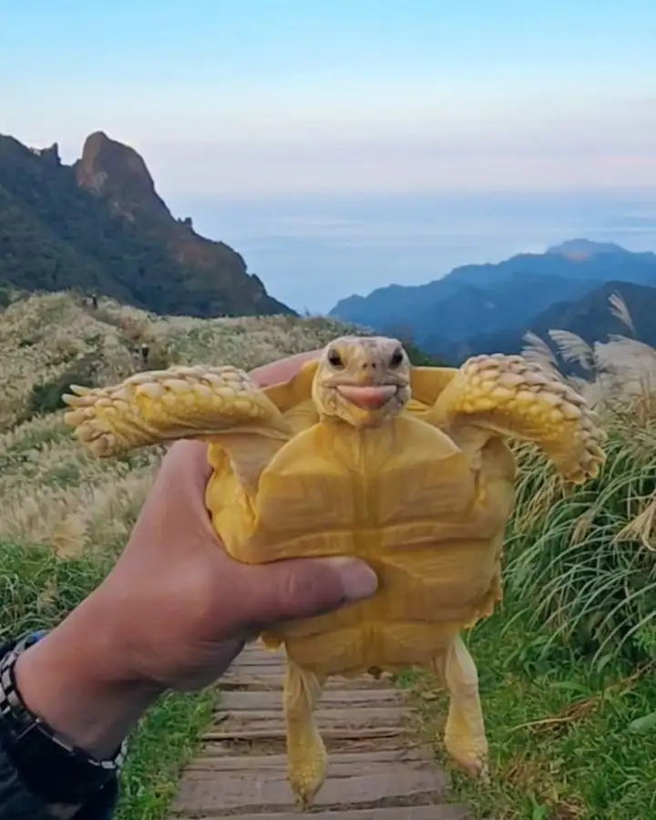 7.