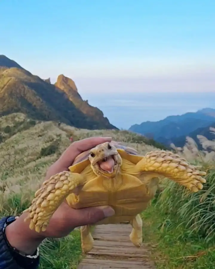 8.