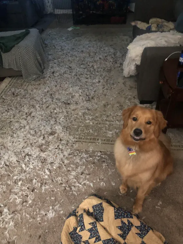 «Она была так горда».