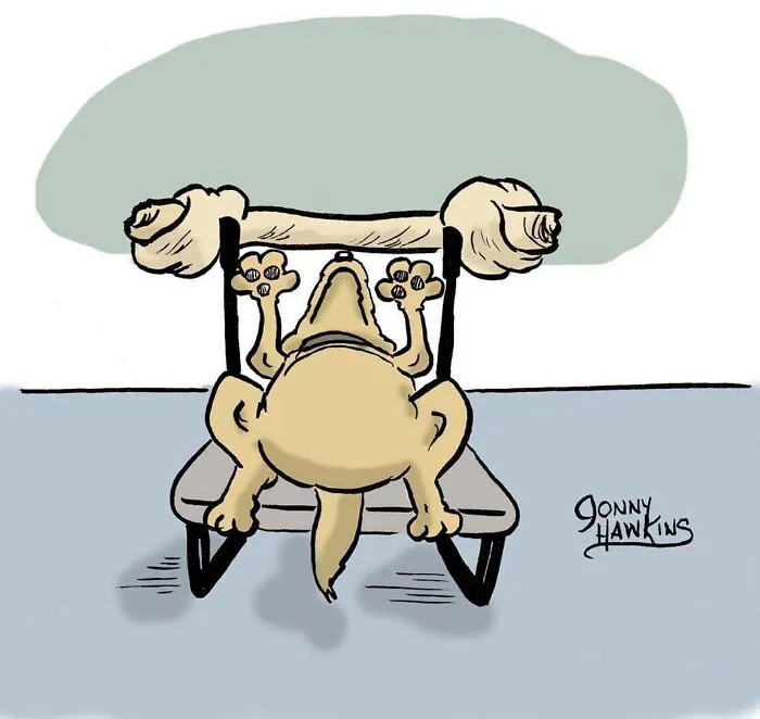 Настоящая мотивация.