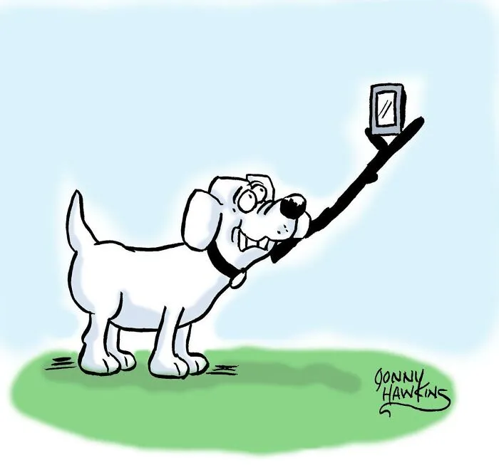 Собачья селфи-палка.