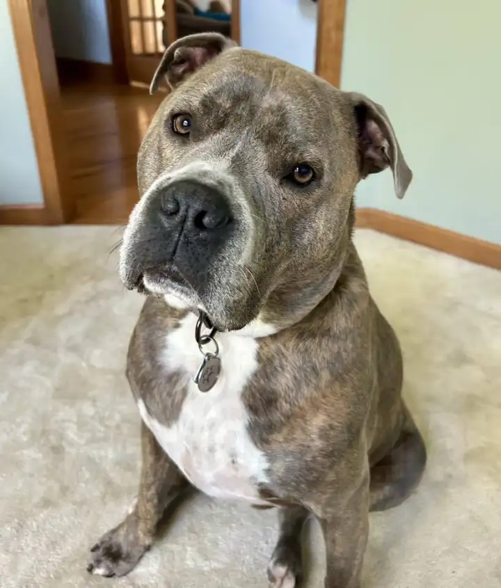 Тот самый воспитанный хороший мальчик.