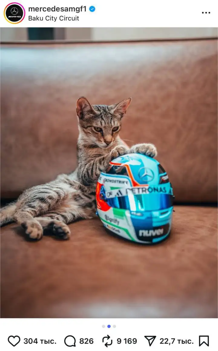 Котик Furrari.