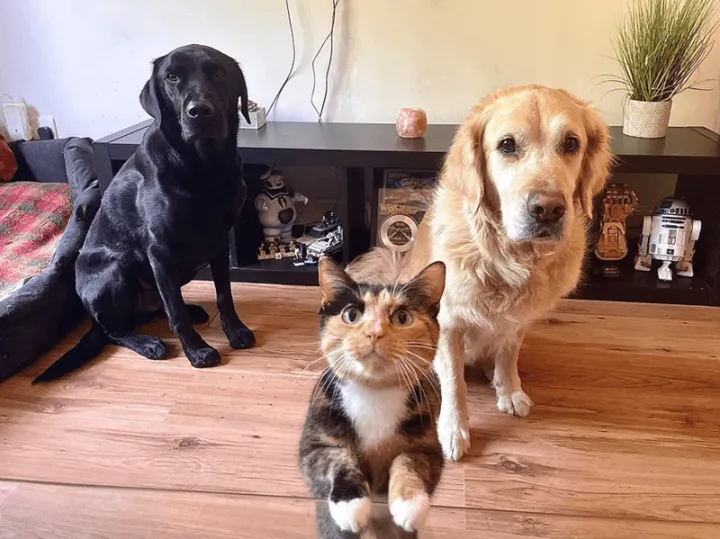 «Когда ужин в 19:00, а сейчас 19:01».