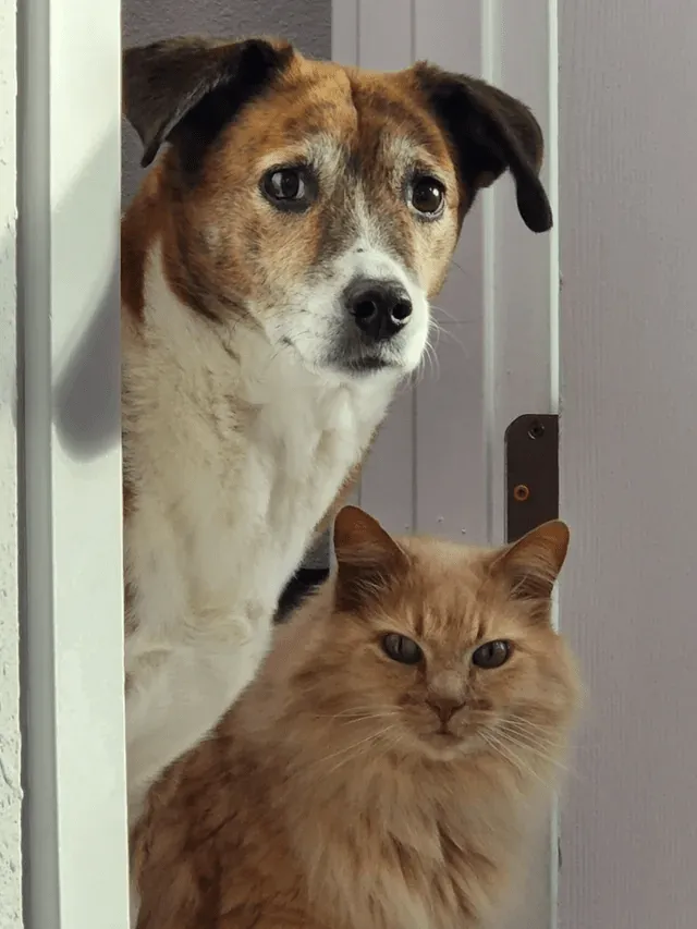 «У меня такое чувство, что пришло время отпроситься с работы и взять выходные».