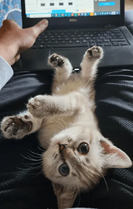 «Моя продуктивность постоянно очень низкая».