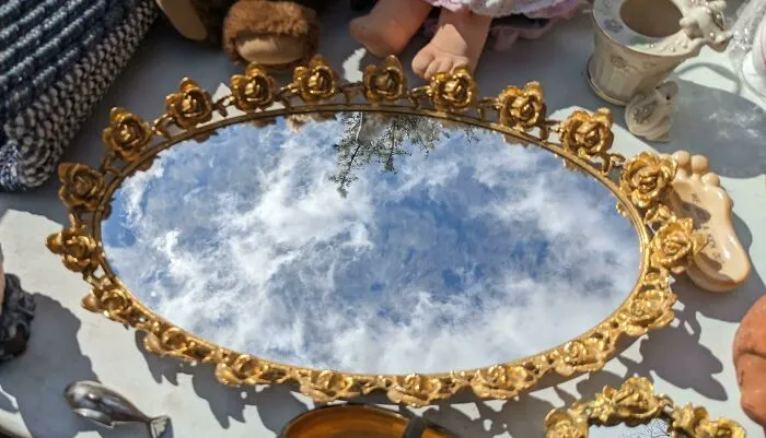 «Зеркальный поднос Rose Mirror Tray, который был куплен на блошином рынке. Отражение неба делает его похожим на портал в другой мир».