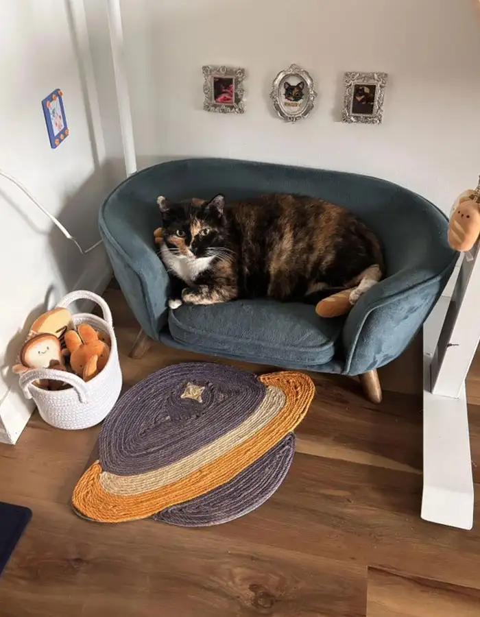 Уголок для пушистого члена семьи.