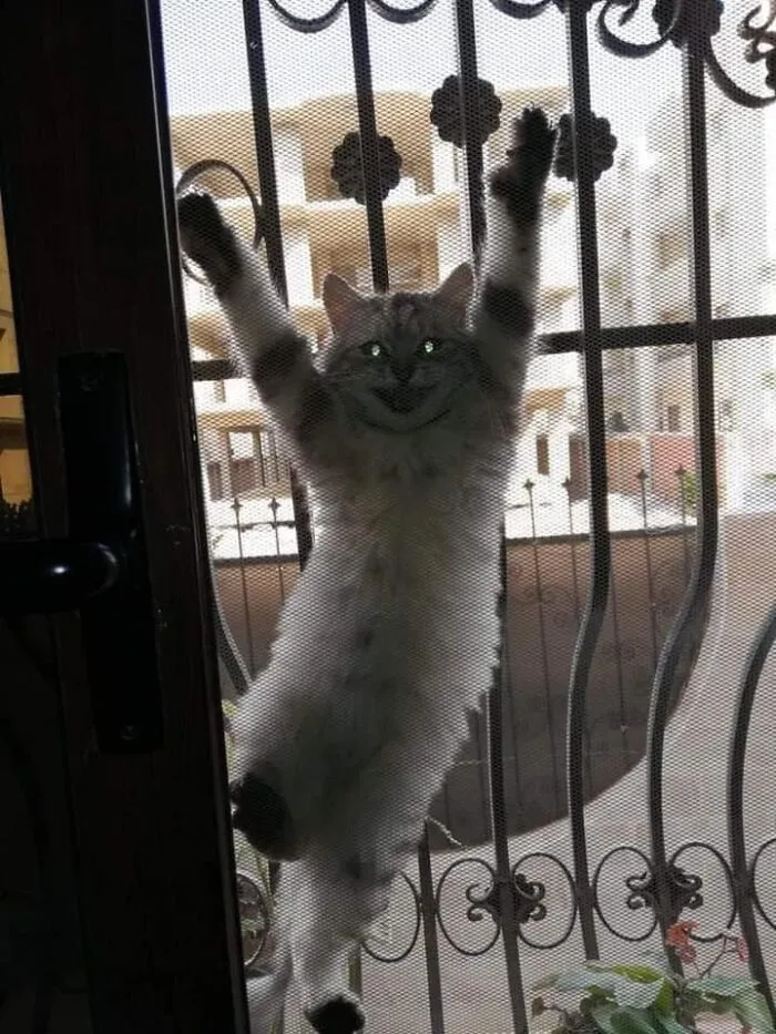 Это безумно смешно и жутко одновременно.