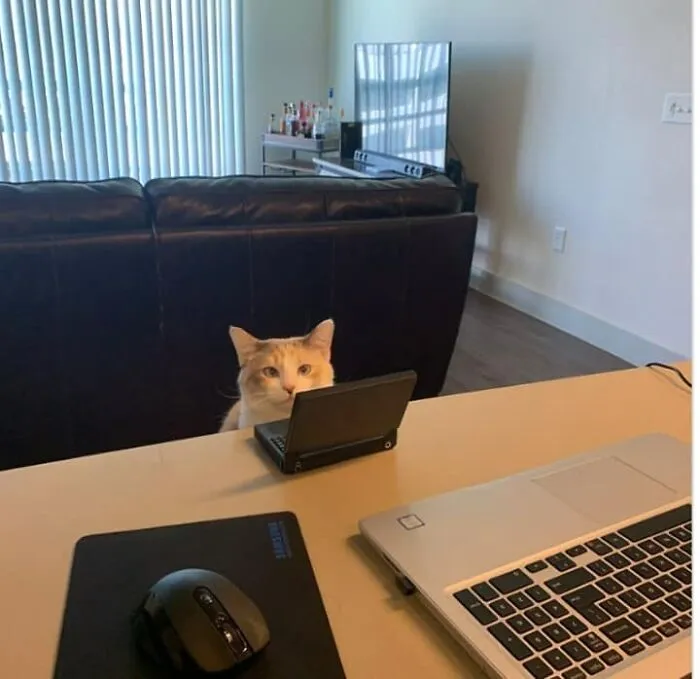 Маленький работник.