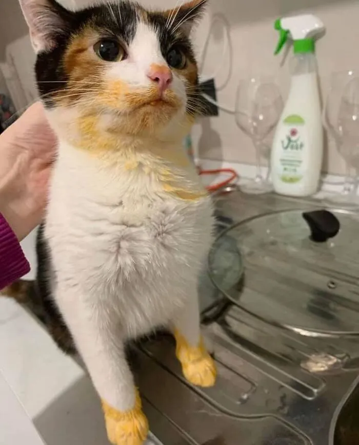 Поймана на месте преступления.