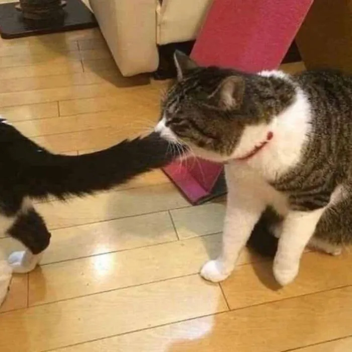 «Ну-ка, иди сюда, я не договорила».